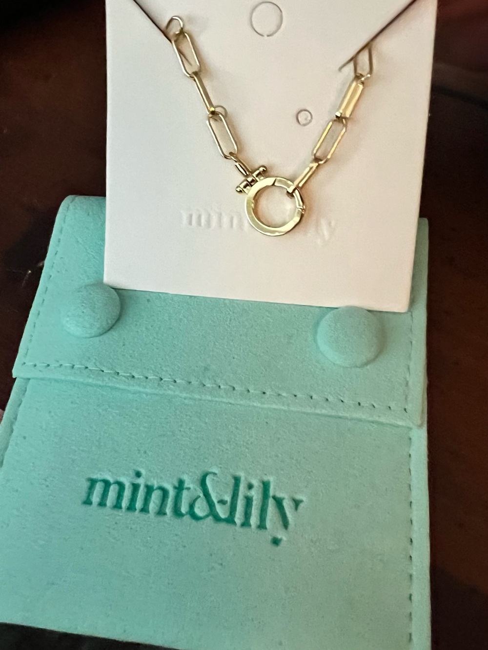 mint & lily Gold Link Chain Necklace - Aqua Pouch